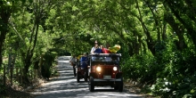 Jeeps Quindio