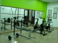 Gimnasio